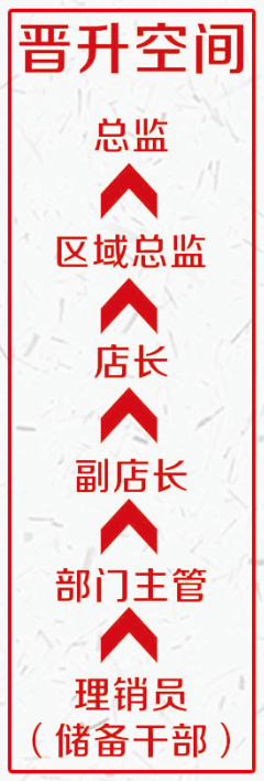 職業(yè)發(fā)展